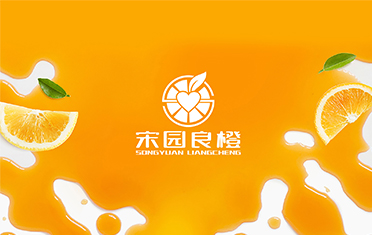 某良橙——南昌LOGO设计